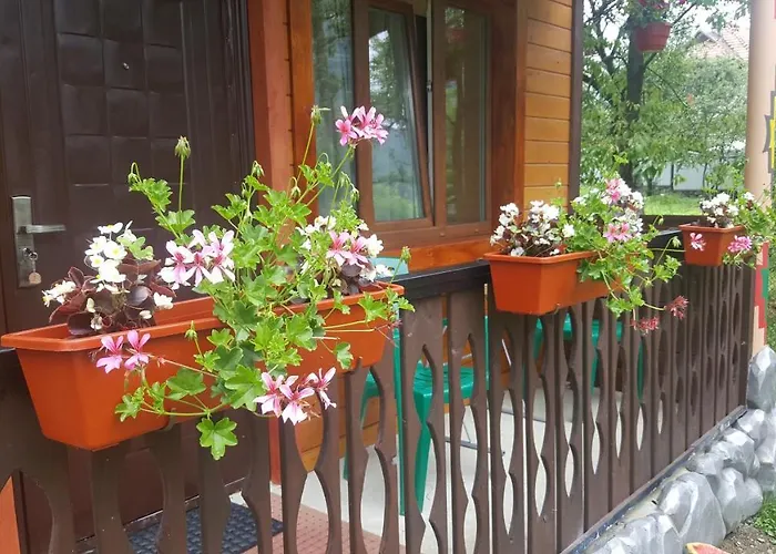 гуцулка ксеня Jaremče