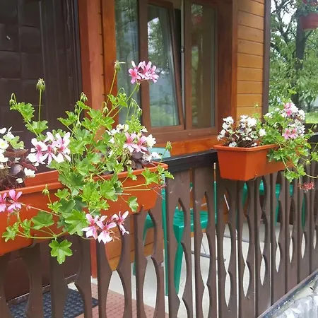 гуцулка ксеня ياريمتشي